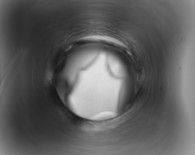 X0000089740033200707121515