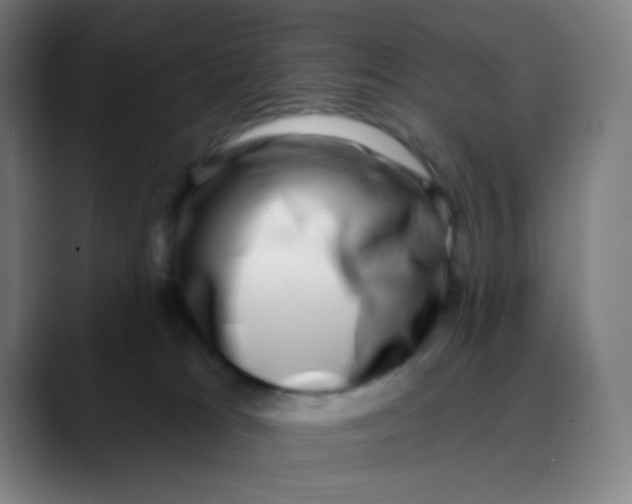 X0000089740037200707121515