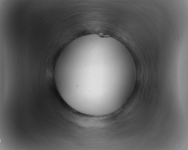 X0000089740040200707121515