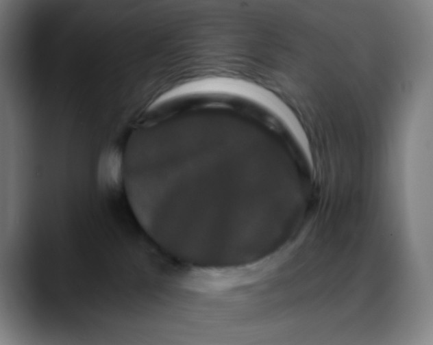 X0000089740041200707121515