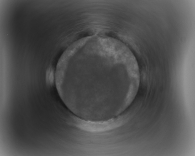 X0000089740042200707121515