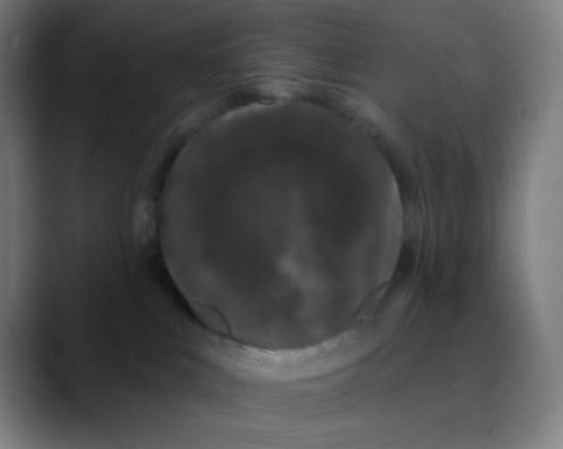 X0000089740043200707121515