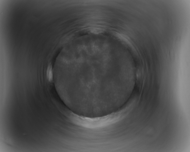 X0000089740046200707121515