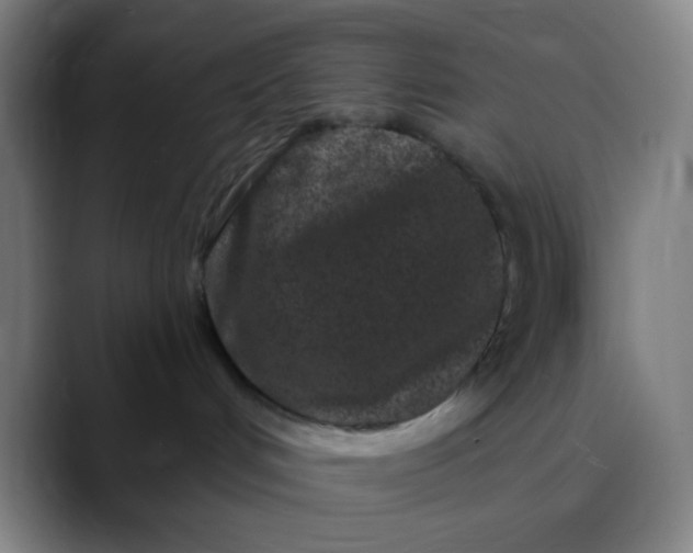 X0000089740048200707121515