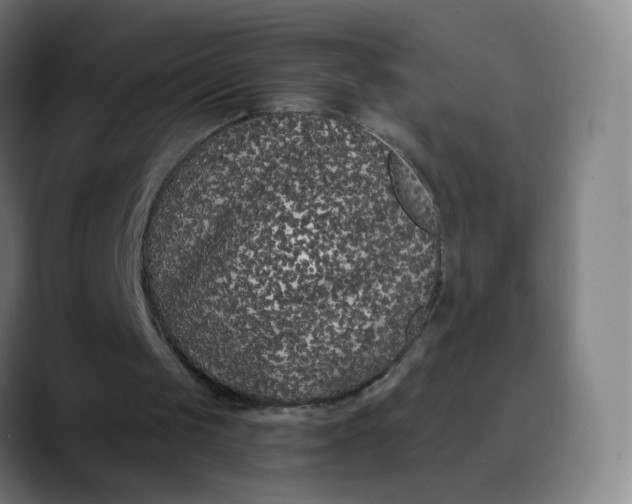 X0000089740049200707121514