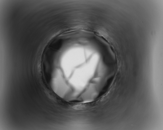 X0000089740050200707121514