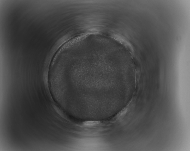 X0000089740051200707121514