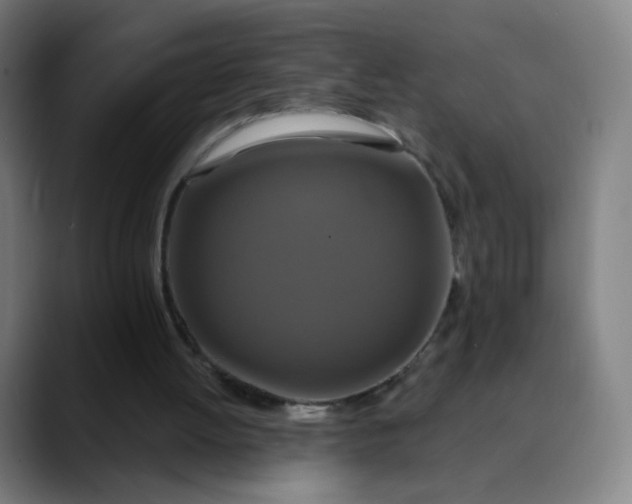 X0000089740052200707121514