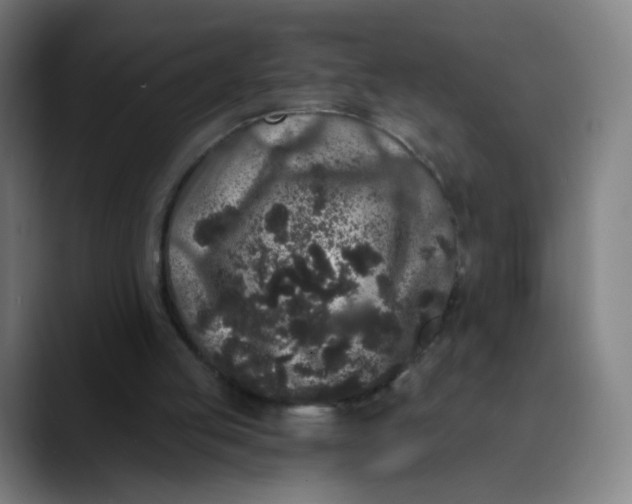 X0000089740053200707121514