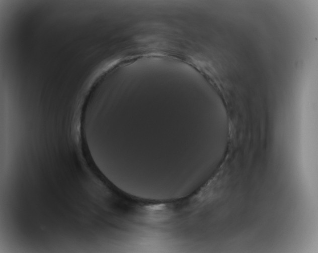 X0000089740054200707121514