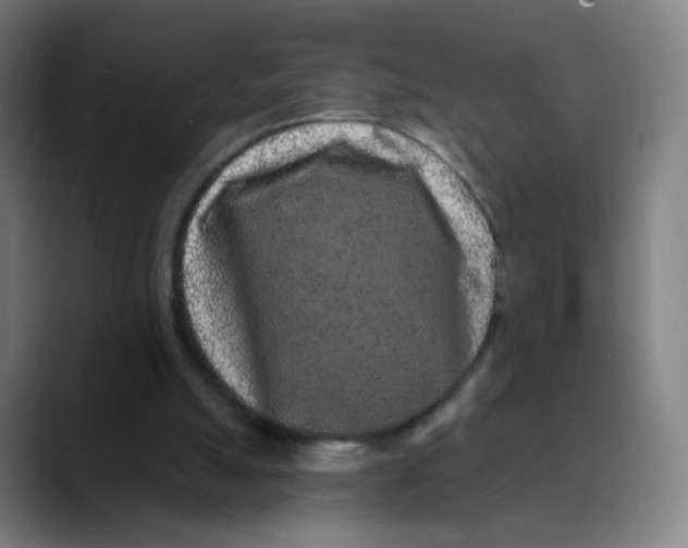 X0000089740055200707121514