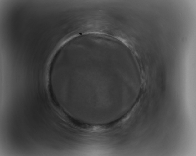 X0000089740056200707121514