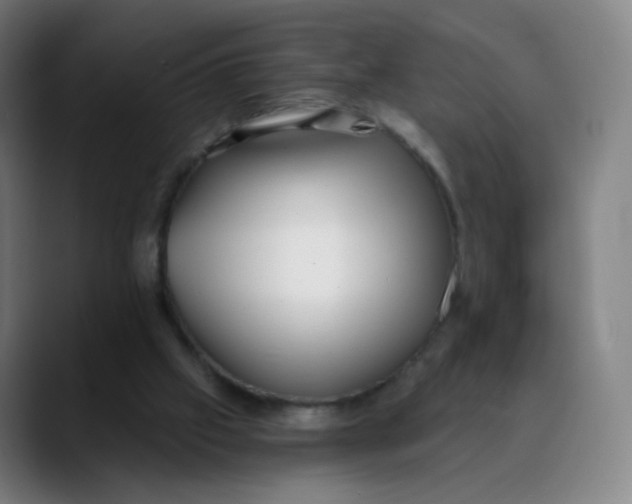 X0000089740057200707121514