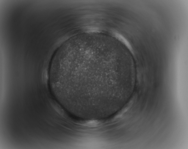 X0000089740059200707121514