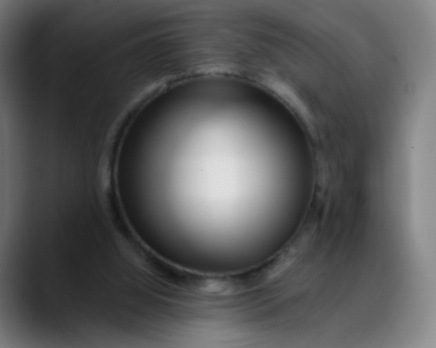 X0000089740060200707121514