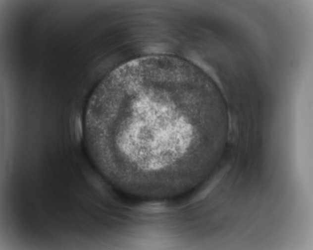 X0000089740061200707121514