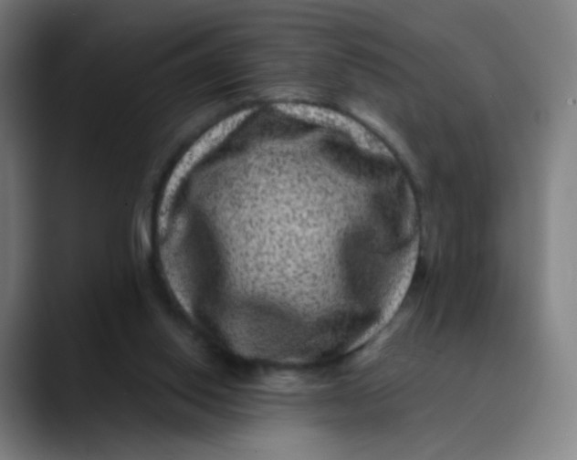 X0000089740062200707121514