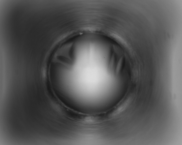 X0000089740064200707121515