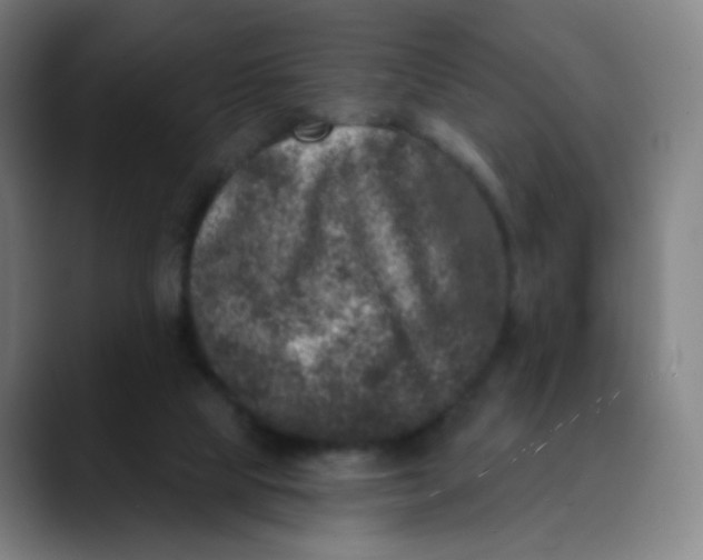 X0000089740065200707121515