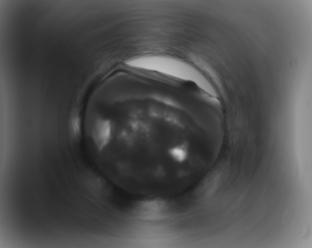 X0000089740067200707121515