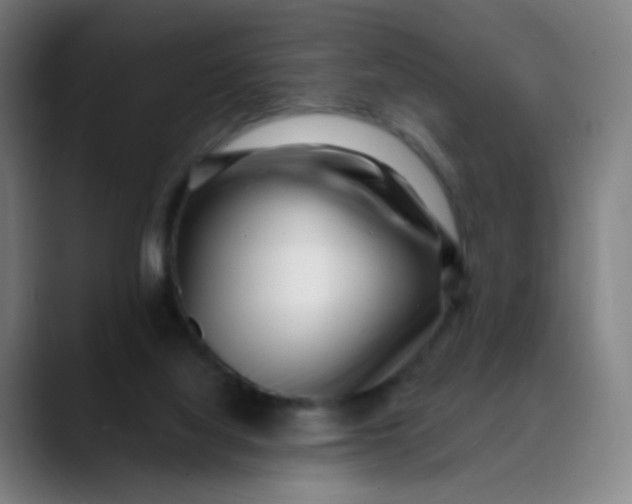 X0000089740068200707121515