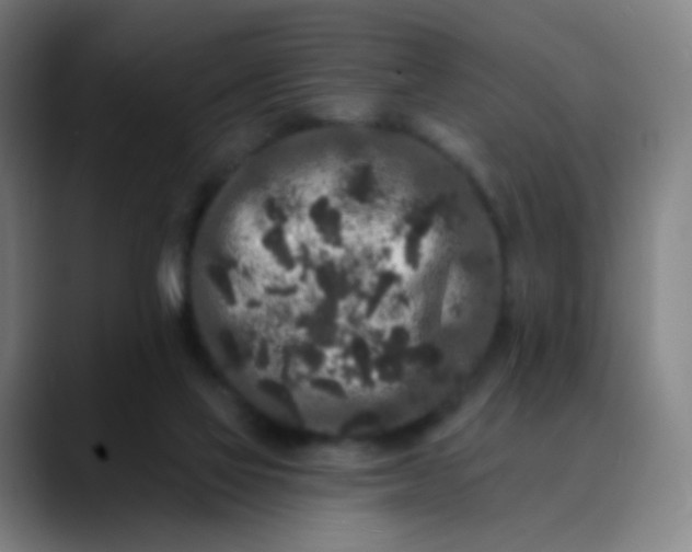 X0000089740069200707121515