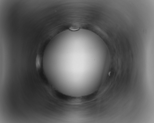 X0000089740075200707121515