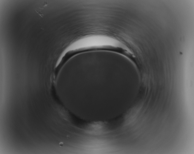 X0000089740076200707121515