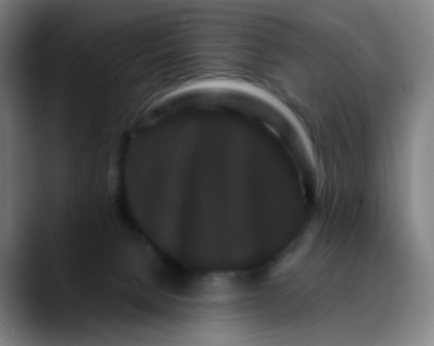 X0000089740080200707121515