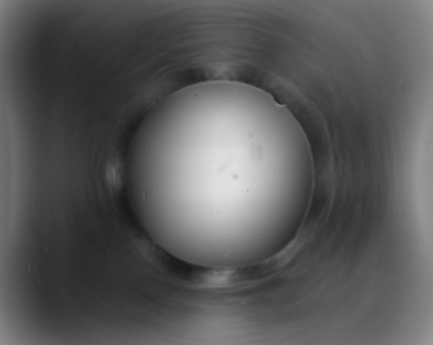 X0000089740090200707121515