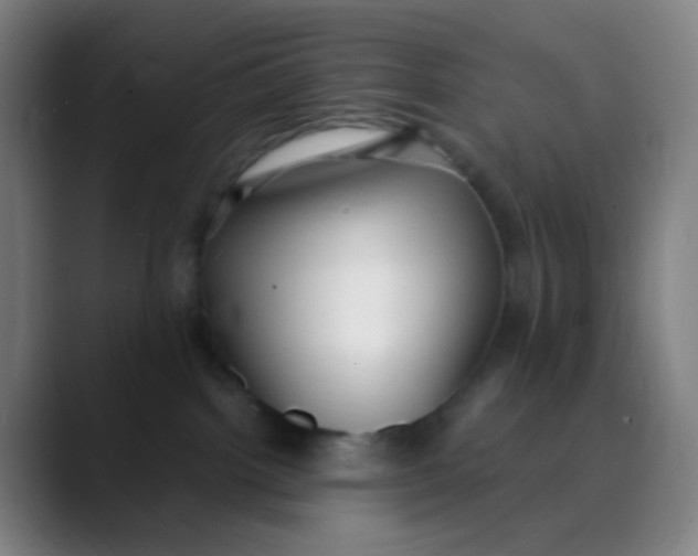 X0000089740092200707121515