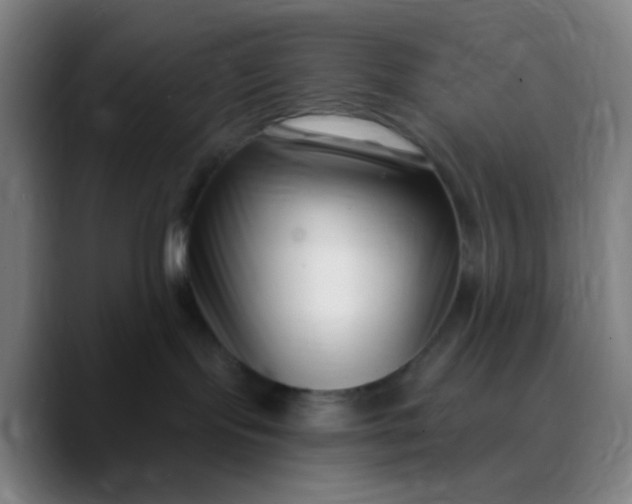 X0000089740095200707121515