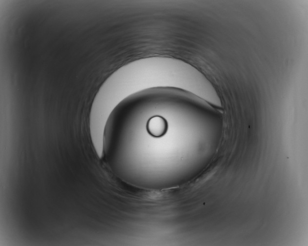 X0000089740096200707121515