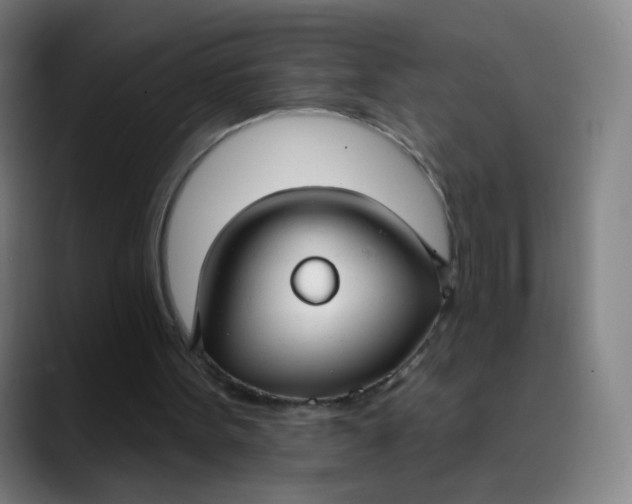 X0000089740099200707121514