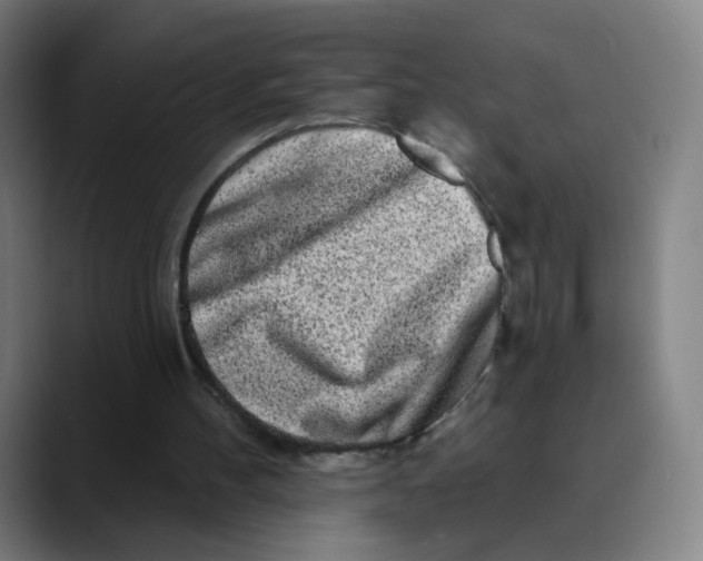 X0000089740100200707121514