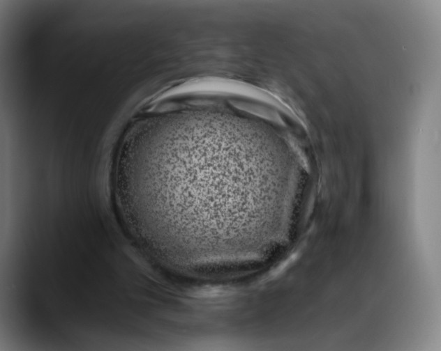 X0000089740101200707121514