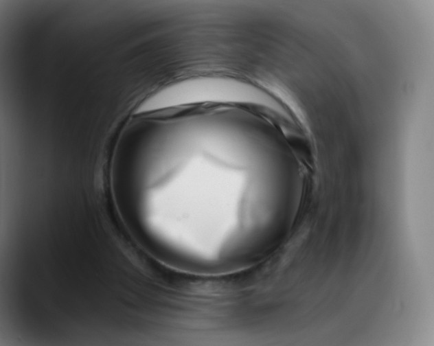 X0000089740105200707121514