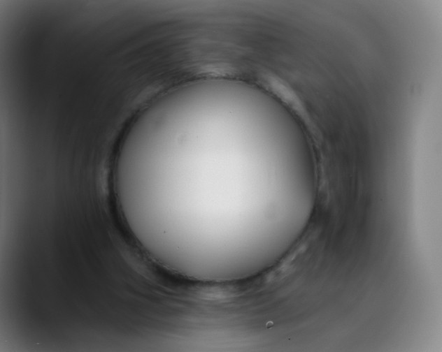 X0000089740106200707121514