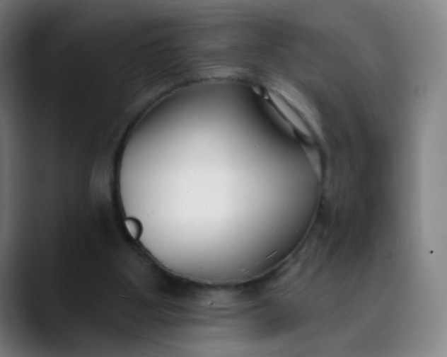 X0000089740107200707121514