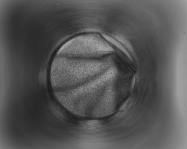 X0000089740108200707121514