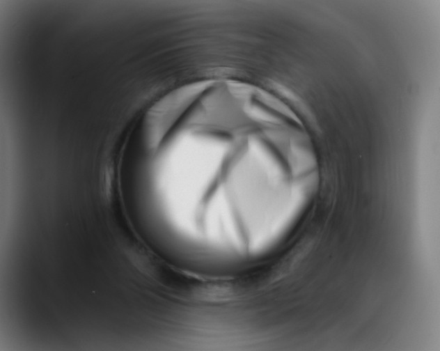 X0000089740110200707121514