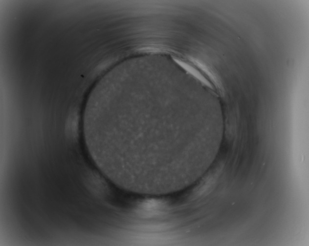 X0000089740111200707121514