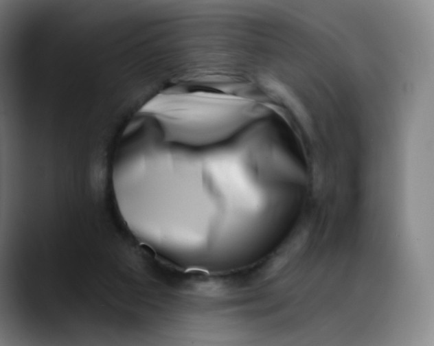 X0000089740113200707121514