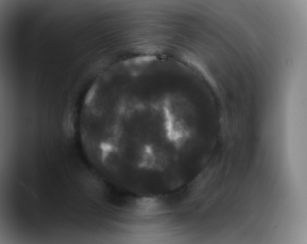 X0000089740114200707121514