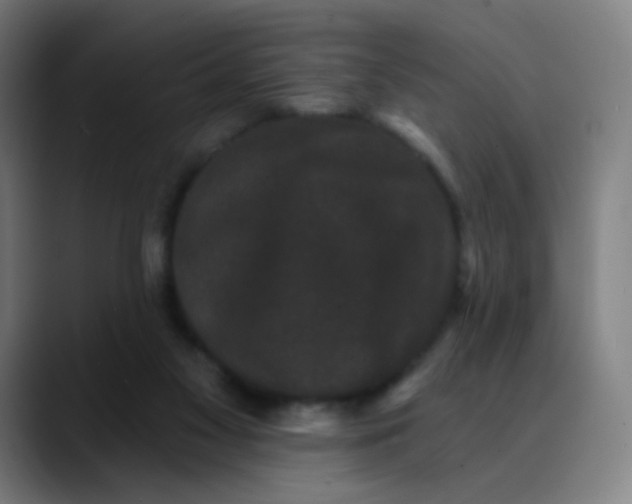 X0000089740117200707121514