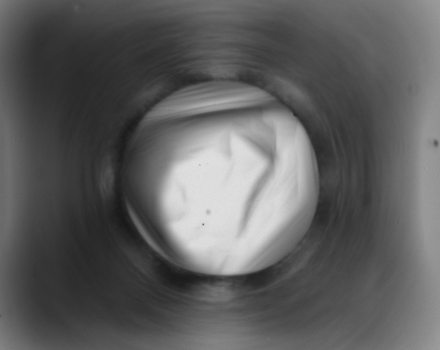 X0000089740120200707121514