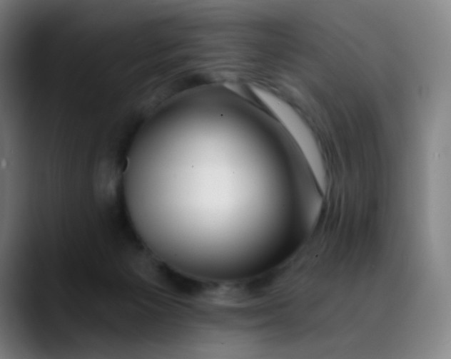 X0000089740125200707121514