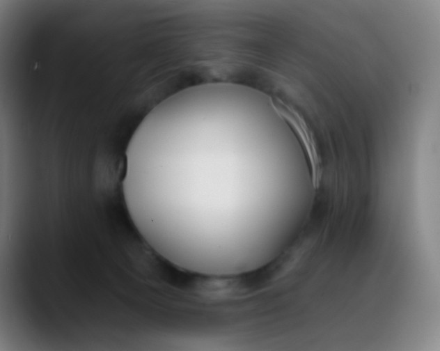 X0000089740129200707121514