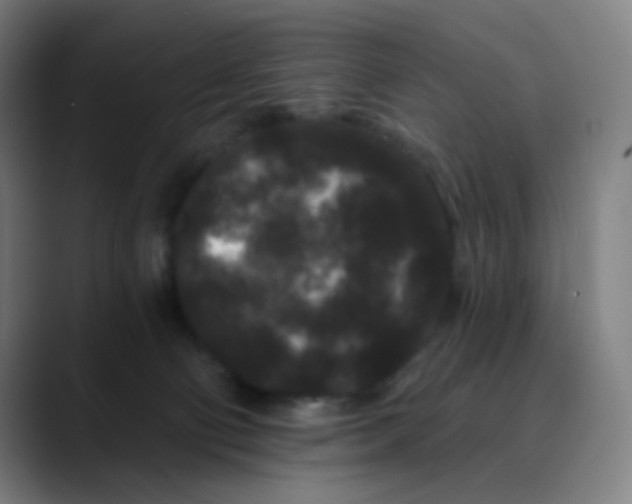 X0000089740130200707121514