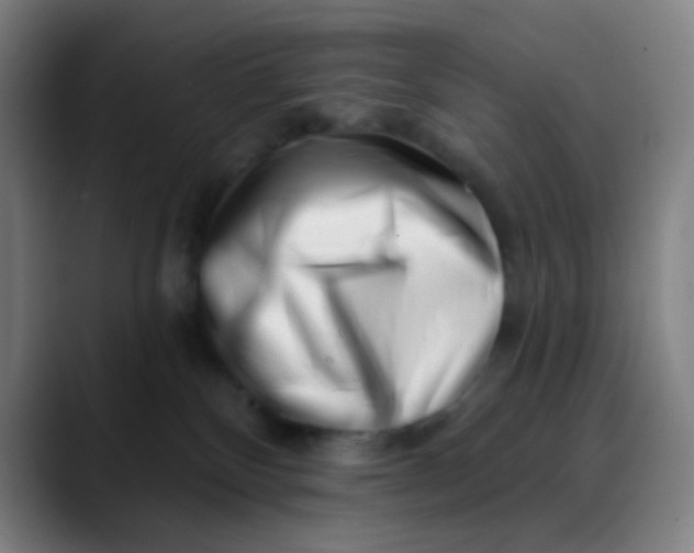 X0000089740136200707121514